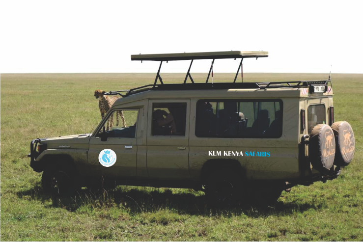 4x4 klm kenya safaris land-cruiser