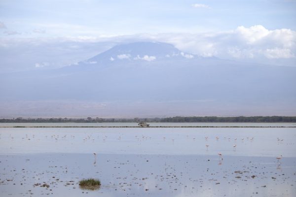 amboseli-national-park-mt-kilimanjaro