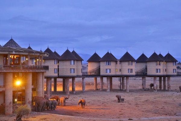 salt-lick-safari-lodge