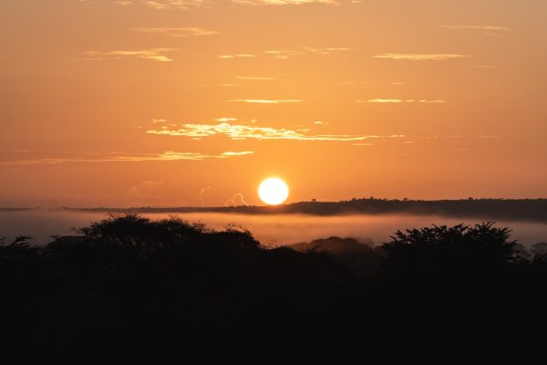 sunrise-masai mara